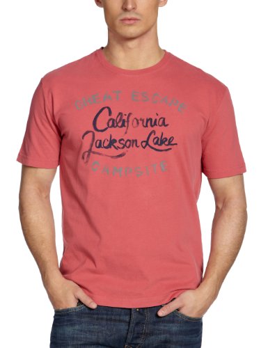 TOM TAILOR Herren T-Shirt 10227280010/campsite print tee, Gr. 52/54 (XL), Rot (4178) Preisvergleich