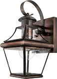 Carleton Collection 11 1/2 High Outdoor Wall Light