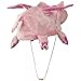 Jacobson Hat Company Pig Hat with Flapping Wings
