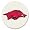 Arkansas Razorbacks