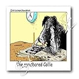 Londons Times Funny Dogs Cartoons - Bored Border Collie - Iron on Heat Transfers
