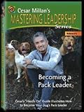 Becoming a Pack Leader: Cesar Millan's Mastering Leadership Series Volume 2