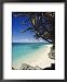 Beach on the North Coast of the Island of Boracay off the Coast of Panay, Philippines, Asia Collections Framed Art Poster Print by Robert Francis, 18x22