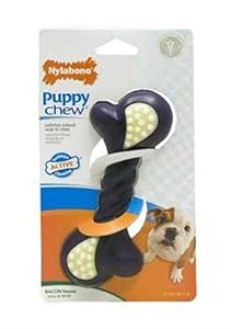 Nylabone Puppy Double Action Chew Toy, Purple , Regular Nylabone Puppy Double Action Chew Toy, Purple , Regular