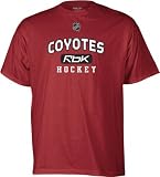 Phoenix Coyotes Gameday Short/Long Sleeve T-Shirt Combo Pack - Medium