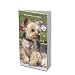 yorkshire_terrier39yorkshire terrier - Yorkshire Terriers 2010 Pocket Planner