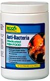FISH FOOD MEDICATED ECORX ANTI-BACT. 12OZ
