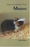 How to Care for Your Mouse (Your first...series)
