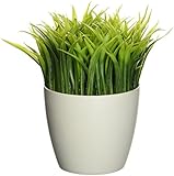 Kikkerland Potted Pen Stand (SC24)