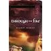 Through the Fire (Mystery and the Minister's Wife Series #1)