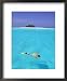 Woman Snorkelling at Sea Surface,Cocos Keeling Island in Background, Indian Ocean, Australia Sports Framed Art Poster Print by Jurgen Freund, 18x22