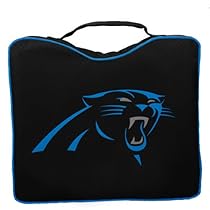 NFL Panthers Bleacher Cushion
