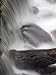 Limekiln Creek Flowing over Rocks, Limekiln State Park, Big Sur, California Photograp...