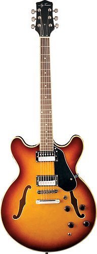 Jay Turser Jazz Guitars Jt-133-tsb Semi Hollow-body Electric Guitar, Tobacco Sunburst Jay Turser Jazz Guitars Jt-133-tsb Semi Hollow-body Electric Guitar, Tobacco Sunburst