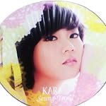 ポリうちわ KARA スンヨン