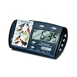 Birdsong Alarm Clock