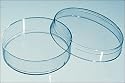 BD Falcon Standard Petri Dishes; 60 x 15mm