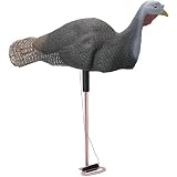 Edge Down-N-Dirty Hen Decoy