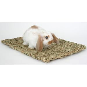Woven Grass Mat Perfect item for your rabbit to dig at or chew on