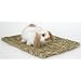 Peter's Woven Grass Mat for Rabbits