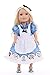 Little Adventures Alice with Headband Princess Doll Dress