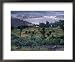 Agriculture Fields, Indus Valley, Pakistan Framed Art Poster Print by Gavriel Jecan, 22x18