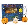 Halloween String Light Set - Ghosts and Jack-o-Lanterns - Lighted set of 10