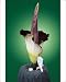 Photographic Prints of KF-11734 Titan Arum / Giant Flower / Corpse Flower - Six foot tall and three from Ardea Wildlife Pets