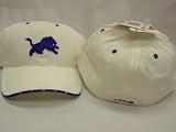 Detroit Lions White Twins Enterprise Hat/Cap