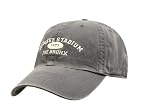 Yankee Stadium 2008 Established Arch Cap (Navy)