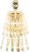 Scary Big Head Jangles Skeleton Prop