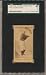 Baseball Card 1887 N172 Gore, Piano Legs SGC 3