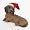 Dachshund (Black)