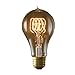Bulbrite Incandescent A21 Medium Screw Base (E26) Light Bulb, 1 Count (Pack of 1), Antique