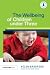 The Wellbeing of Children under Three (Supporting Children from Birth to Three)
