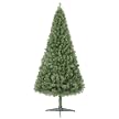 6' SIERRA FIR