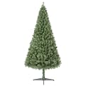 6' SIERRA FIR