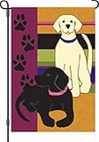 Labrador Friends