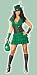 Apparel : Womens Robyn da Hood Costume (small, medium or large)