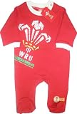 Welsh Rugby Union Sleepsuit with logo (Red,6 to 9 months)