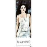 Evanescence Amy Lee Door Music Poster Print - 21x62 Door Poster Print, 21x62 Door Poster Print, 21x62