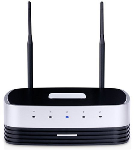 Memup Q-One Server 1TB Netzwerk Festplatte (W-LAN, LAN, USB 2.0 f?r FTP, E-mail, Drucker, Internet)
