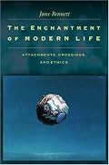 The Enchantment of Modern Life: Attachments, Crossings, and Ethics.