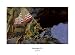 September 11th Art Poster Print by Jamie Wyeth, 22x16