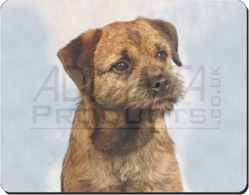BORDER TERRIER DOG Mouse Mat