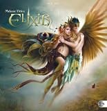 Produkt-Bild: Elixir Broschurkalender 2011: mit Jahres&uuml;bersicht 2011