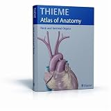 Neck and Internal Organs (THIEME Atlas of Anatomy) Neck and Internal Organs (THIEME Atlas of Anatomy)