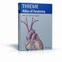 Neck and Internal Organs (THIEME Atlas of Anatomy)