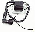 Ignition Coil For Honda XR185 XR200 XR75 XR80 30500-ZL8-004,30500-ZL8-014,30500-Z0J-003 Honda GC135,GC160,GC190,GS160