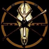 A Feral Spirit [VINYL]